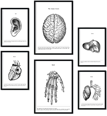 Nacnic Set von 6 Poster Belies. Sammlung von Platten mit ästhetischer Collage für Innendekoration. Größen A3 und A4. Rahmenlos