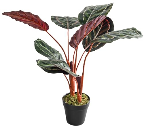 Coferset 63,5 cm künstliche Pflanze im Topf mit Moos, große Kunstpflanze für Home Office Wohnzimmer Badezimmer Dekor (Calathea Roseopicta)
