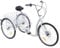 Owneed Dreirad für Erwachsene, 26 Zoll 6 Gang Tricycle, 3 Räder Fahrrad mit Einkaufskorb, City Einkauffahrrad Cityräder Bike, für Outdoor-Aktivitäten 3 räder für Erwachsene Damen (Weiß)