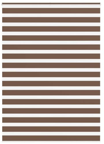 vidaXL Doppelrollo Braun 160x200 cm Stoffbreite 155,9 cm Polyester, Zebra-Rollo, Zebra-Jalousie für Fenster