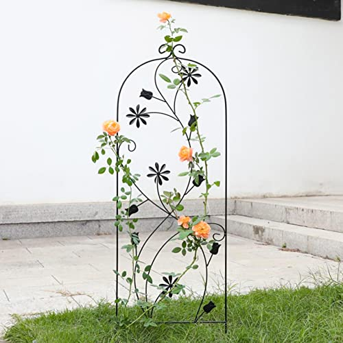 ZYFA 2er Set Rankhilfe Garten Rankgitter Kletterhilfe Rankhilfe Spalier Pflanzengitter für Kletterpflanzen,Pflanzen,Rosen, Rankzaun Beetzaun Rundbogen Blumengitter Gartendeko (Color : 1)