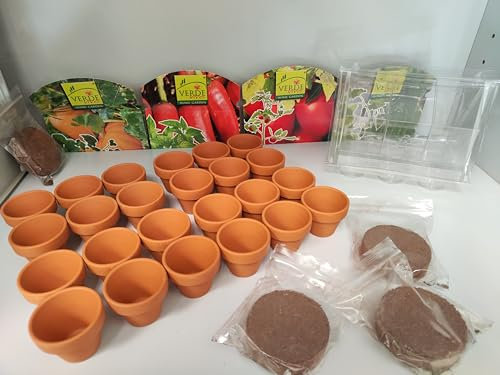 VERDE VIVO Miniserra, Vassoi per semi da germinazione, 4 miniserre da 6 vasetti ciascuno in terra cotta + substrato liofilizzato; Kit di Germinazione; Kit per Principianti