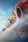 Puzzles für Erwachsene 1000 Teile |Cars Movie Poster Puzzles | Box enthält Farbposter | Fertige Größe Es ist EIN Puzzle-Spielzeug für38x52cm