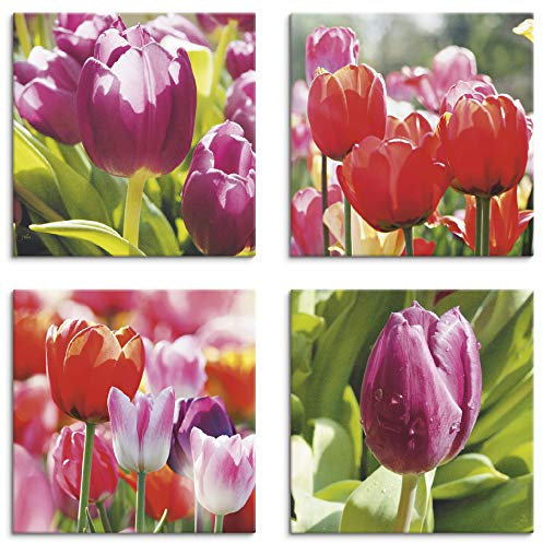 ARTLAND Wanddeko Blumenbilder Leinwand Bilder Set 4tlg. je 40x40 cm Quadratisch Wandbilder Natur Blumen Tulpe Frühling Tulpen S6ML