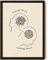EXCOOL CLUB Therapie-Büro-Dekor, psychische Gesundheit, Poster – 30,5 x 40,6 cm, Wandkunst für Therapeuten, Bürodekoration, Boho-Sprechhilfe, Poster für Schulberater, Psychologie-Dekor (ungerahmt)