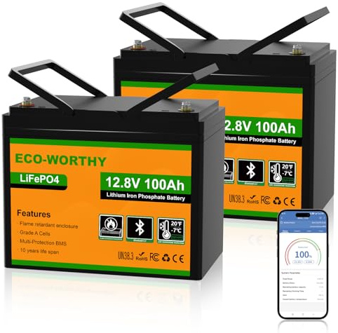 ECO-WORTHY 2-Pack 12V 100Ah LiFePO4 Battery with Bluetooth, Low-Temp | 1280Wh Per Battery, 100A BMS, Bluetooth, low-temp cutoff, flame-retardant, Group 24 size. For RV, marine, motorhome, off-grid