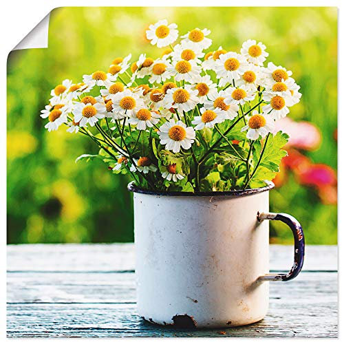 ARTLAND Wanddeko Poster & Kunstdrucke Wandposter 40x40 cm Botanik Blumen Gänseblümchen Fotografie Grün Frühlingsgarten mit Gänseblümchen T4UE