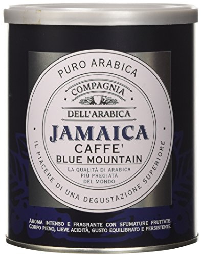 Caffè Corsini - Compagnia dell'Arabica Jamaica Blue Mountain Specialty Coffee, Caffè Monorigine Giamaica Macinato per Espresso e Moka, Intenso e Fruttato, Lattina da 250 g