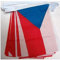 AZ FLAG - Fahnenkette Tschechien 6 Meter Mit 20 Flaggen - 21x14 cm - Tschechische Girlande Flaggenkette 14 x 21 cm