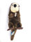 Nature Planet - Kuscheltier - Plan L - Seeotter 40 cm