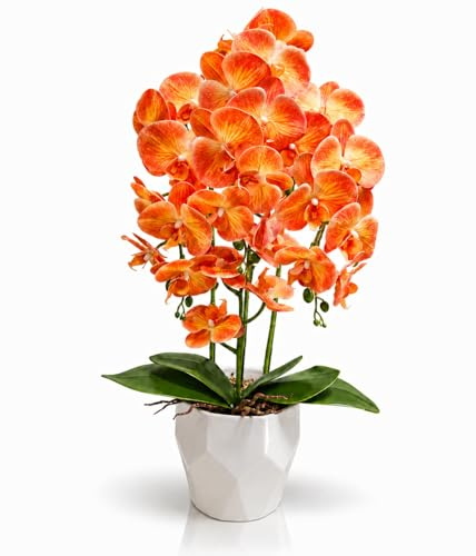 PASCH® XXL Orchideen künstlich in Hochglanz-Keramiktopf (70cm) | Kunstblumen im Topf | Kunstblumen wie echt | künstliche Orchideen im Topf | künstliche Blumen im Topf (Zitrusflamme)