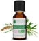 Voshuiles - Huile Essentielle Arbre à Thé Bio 20ml - Parfum Citronné, Boisé - Réputée pour ses Nombreuses Vertus - Huiles Essentielles de Qualité - 100% Pure et Naturelle - HEBBD et Certifiée ECOCERT