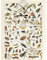 Artery8 Millot Natur Enzyklopädie Seite Insekten Libelle Ungerahmter Druck 30x40 cm