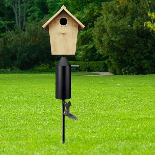 MorningRo 1 Pcs Metal Squirrel Baffle for Bird Feeder Pole Squirrel Defeater Cylinder Pole Galvanized Steel Black Bird Feeder Baffle 6 1/8 Inch Diameter 15 1/2 Inch High for Garden