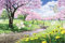 SuperPower® Bella Opera d'arte 1000 pezzi Rosa Fiori di Ciliegio Alberi Primavera Turismo Paesaggio Pittura ad olio Adulti Giocattoli Bambini Educativi Puzzle in legno per Natale Compleanno Regali
