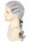 Topcosplay Herren Barock Perücke mit Zopf Blonde Richter Perücke Rokoko Lockig Marquis Perücke für Faschings Halloween (Grau)