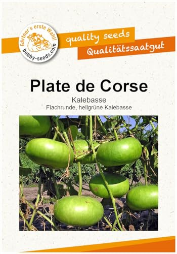 Plate de Corse Kürbissamen von Bobby-Seeds, Portion