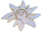 Petra's Bastel News Streudeko 30 x Edelweißblüte aus Holz, 30 mm, 3cm