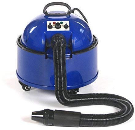 Pedigroom Professionali per toelettatura Cani peli di Animali Domestici Asciugacapelli Blaster Blu 2800W
