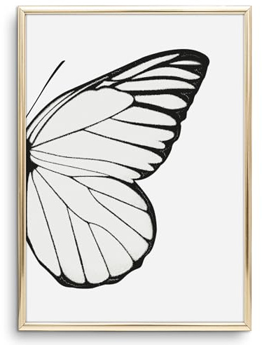 Tales by Jen Kunstdruck, Tier Poster: Right Butterfly Wing | Stilvolles Premium Poster auf hochwertigem Papier | Schöne Wohnaccessoires | Wand Bild und Schmetterling Illustration | Ohne Bilderrahmen