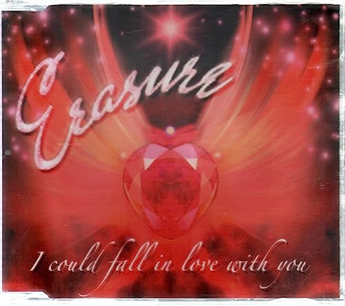 I Could Fall in Love With You