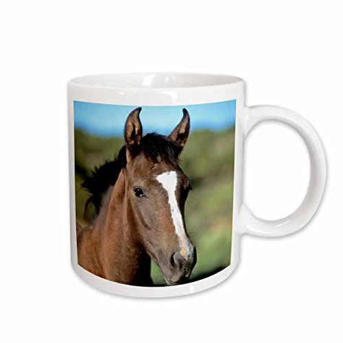 3dRose Andalusian Colt Horse-NA02 LKL0007-Lee Klopfer Keramiktasse, 325 ml, weiß