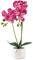 Alicemall Kunstpflanze Orchidee Künstliche Blumen aus Eva mit Übertopf Kunstblume Seidenblumen phalaenopsis-orchideen-Bonsai mit Keramik-vase Hochzeit Garten Balkon Tischdekoration33x8(Lila)