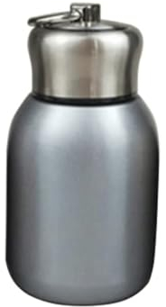 Jbsceen Mini Bouteilles isothermes de voyage en acier inoxydable pour l'intérieur et l'extérieur 300 ml,Argenté