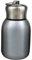 Jbsceen Mini Bouteilles isothermes de voyage en acier inoxydable pour l'intérieur et l'extérieur 300 ml,Argenté