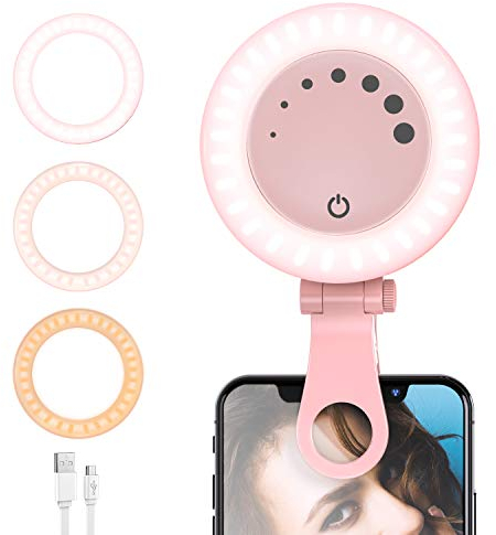 Ringlicht Laptop Videokonferenz Licht, LED Ringleuchte Dimmbare Webcam Beleuchtung mit Clip für Selfie, Ringleuchte für Zoom Meeting, Tiktok, Makeup, Live Stream, YouTube, Fotografie (Rosa)