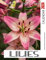 Calendar 2024: Great Gift For Beloved Fan and Collectors, Jan 2024 to Mar 2025, Eco Friendly, Major US Holidays