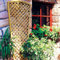 English Primrose Fan Design Trellis Outdoor Garden Wall Privacy 1.83m x 0.8m