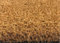 Grandismo Premium Coir Entrance Matting - Indoor/Outdoor - 1m or 2m Width - Cut To Size - Heavy Duty Tough Fibres - Hallway, Foyer, Lobby,Reception, Door Mat, Roll (1metre, 50cm)