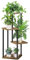 SMFANLIN Hölzern Pflanzenständer Blumenständer, Mehrstöckig Blumenregal Pflanzenregal, Ecke Blumentreppe Pflanzentreppen für InnenBalkon Garten Wohnzimmer Deko (4-Tier, Schwarz)