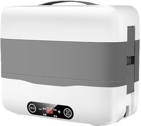 Electric Lunch Box, 2L Removable Stainless Steel Lunch Box, 300W Double Layer Heated Lunch Box, Portable Lunch Warmer with Leak-Proof Compartment Lid for Car Truck Office School and Home Use