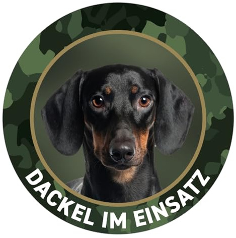 Kurzhaardackel - Dackel im Einsatz Jagdhund Premium Hunde Aufkleber - Sticker für Auto, Pkw, Kfz, Kofferraum oder Autoscheibe - mit Hunde und Jagdhundemotiven, Ø 10 cm, Outdoor - Made in Germany