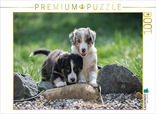 CALVENDO Puzzle Momo | 1000 Teile Lege-Größe 64 x 48 cm Foto-Puzzle für glückliche Stunden