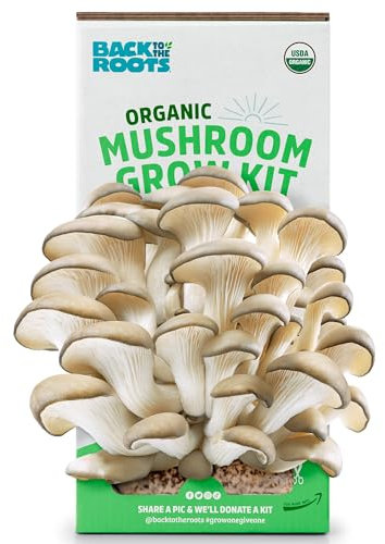 Back to the Roots ~ Kit de culture de champignon huître perlé pour la cuisine et le jardin