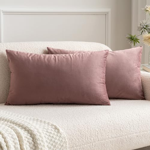 MIULEE 2er Set Samt Kissenbezug Kopfkissenbezug 40x80 cm Kissenhülle Dekokissen Kissenbezüge Sofakissen Samtkissen Dekorative Couchkissen Bezug Bezüge für Sofa Wohnzimmer Schlafzimmer Marmelade