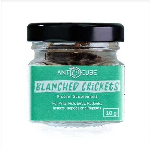 Ganze Blanchierte Heimchen - Futter für Fische, Reptilien, Asseln, andere Insekten