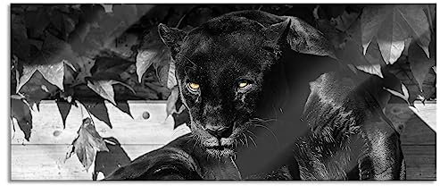 Pixxprint Glasbild Panorama, Wandbild aus Echtglas, schwarzer Panther, 120x50 cm, inkl. Aufhängung und Abstandshalter