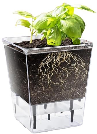 Vasi per irrigazione | Vaso per piante da irrigazione trasparente da 15 cm | Vaso da fiori visibile con serbatoio profondo | Vaso decorativo per la casa con fori di ventilazione per orchidee