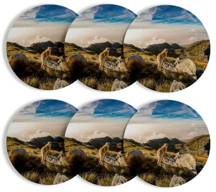 Untersetzer aus rundem Korkboden - Atemberaubender Labrador, Bergfoto, Natur, 6 Stück (95 x 95 mm)