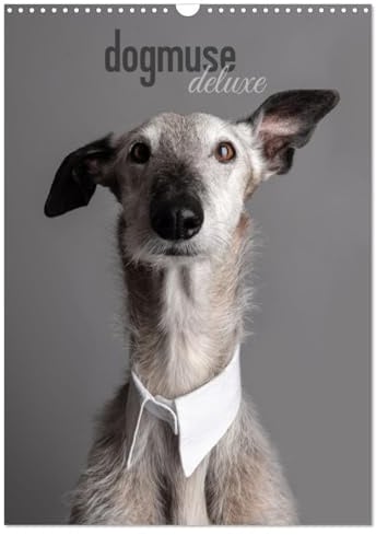 dogmuse deluxe (Wandkalender 2026 DIN A3 hoch), CALVENDO Monatskalender: Ausdrucksstarke Bilder zweier Windhunde! (CALVENDO Tiere)