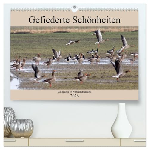 Gefiederte Schönheiten - Wildgänse in Norddeutschland (hochwertiger Premium Wandkalender 2026 DIN A2 quer), Kunstdruck in Hochglanz: In ... in Norddeutschland. (CALVENDO Tiere)