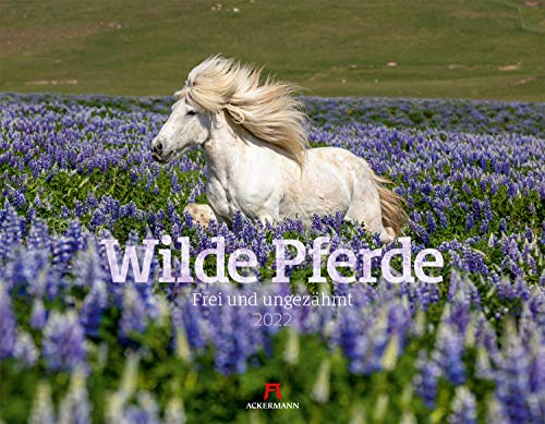 Wilde Pferde Kalender 2022, Wandkalender im Querformat (54x42 cm) - Tierkalender / Pferdekalender: Frei und ungezähmt