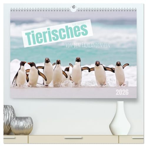 Tierisches von den Falklandinseln (hochwertiger Premium Wandkalender 2026 DIN A2 quer), Kunstdruck in Hochglanz: Pinguine und andere tierische ... im Südatlantik. (CALVENDO Tiere)