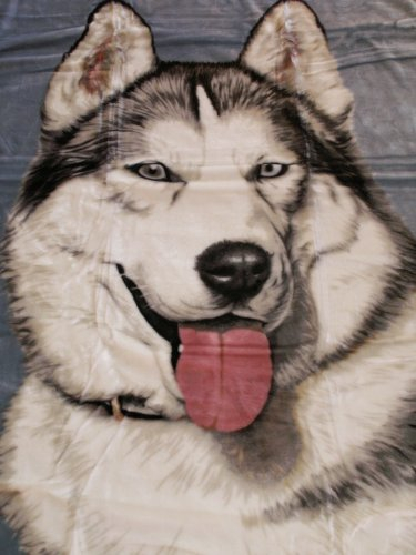 Natur-Fell-Shop Kuscheldecke Tagesdecke Decke Motiv 1 Husky blau 160x200cm
