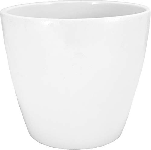 Maceta Cactus cerámica Color Blanco 10 x 9 cms pequeñas