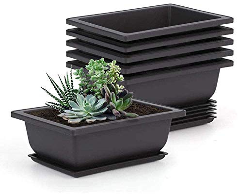 Tiamu 6 Pack Großer Bonsai Trainingstöpfe, Kunststoff Blumentopf mit Untersetzer, Übertopf Bonsaischale, Plastiktöpfe Pflanztopf Anbautopf für Garten, Büro, Wohnzimmer, Balkon 22.5X16.5cm